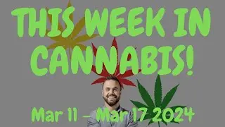 This Week in Cannabis News - March 11 to March 17