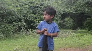 દર્શન કટોલા વીણવા જાય
