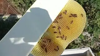 Пробежался по июньским отводкам.