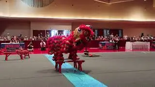 華林功夫太極舘 USDLDF 2nd Lion Dance Competition 2019 - Wah Lum Kung Fu & Tai Chi Academy