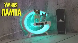 Умная bluetooth лампа G63 с подсветкой | Smart led lamp