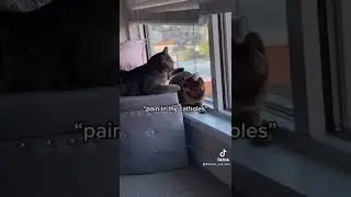 This my house, entry please