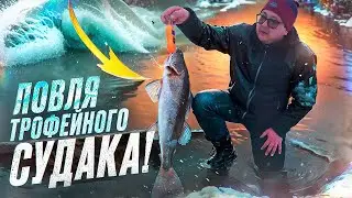 Зимняя Ловля ТРОФЕЙНОГО СУДАКА. Зимняя Рыбалка 2025. Рыбалка на Жерлицы.
