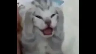 Subathon Day 7 Pt.2 - adwasdkwajaasd anwsf weq