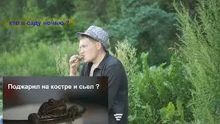 Кто в саду охраняет ягоды, ночью ??
