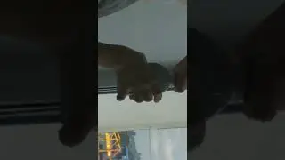 как я сажу землянику 2