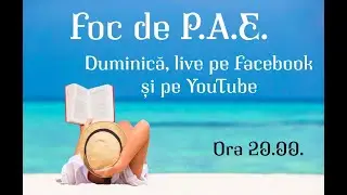 Sylvain Audet-Găinar, live la Foc de P.A.E.