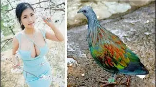 Mind Bending Photos That Seem Fake But Are Actually Real