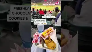 MIKE TROUT, SHOHEI OHTANI | Ballgame Experience & Food at Angel Stadium (Part 3)