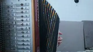 Разбор с цифрами песни 