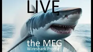 RedBlue Labs LIVE Building 