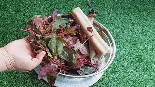 waaste haakh te nadru // red  spinach with lotus stem // waaste haakh // red spinach recipe