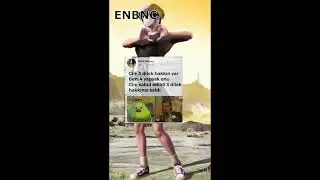 Tweet Akımı