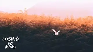 Joachim Heinrich - Cranes