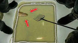 Pike SPEARING Saginaw Bay - Michigan Darkhouse Pike Spearing