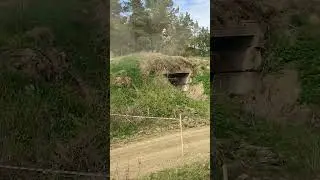 4 мая 2024 г.