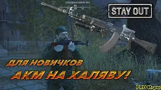 ⭐stay out⭐RU-1 ➤ AKM FOR BEGINNERS FOR FREE!