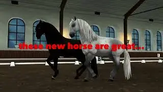 🐴