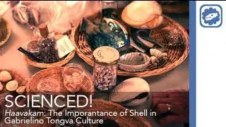 SCIENCED! - Haavakam: The Importance of Shell in Gabrielino Tongva Culture