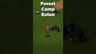 Rare Occurences/Events in Project Zomboid