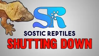 Shutting Down My Reptile Business Sostic Reptiles