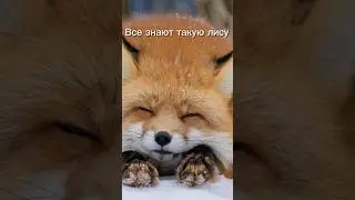 Вяжу на заказ 🧶 