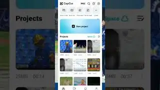 Cricket Video Editing