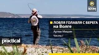 Голавль с берега на Волге. Часть 1. Артем Мишин. Anglers Practical