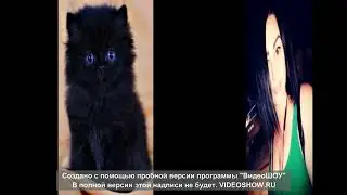 TASIRLI QOSHIQ YURAGDAGI DOG'