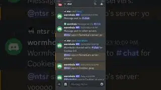 I Made a Discord Wormhole Bot! 
