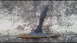Находка на железной дороге. Что это такое?