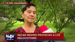 EL DULCE SABOR DE LOS FRUTOS DE EL PITAL