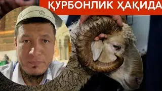 Абдулазиз Домла 