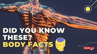 20 Weird Wonderful Facts About Your Own Amazing Body