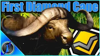 Flinter's Shoots His First Ever Diamond Cape Buffalo with a Bow! (2018)