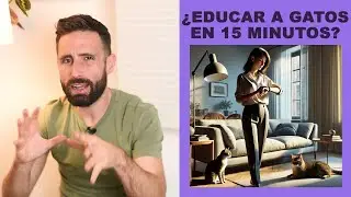 ¿Cuánto tiempo necesitas para educar a tus gatos y que dejen de hacer algo que no te gusta?