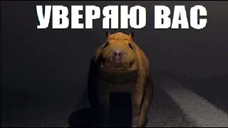 УВЕРЯЮ ВАС