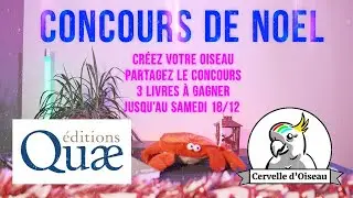 GRAND CONCOURS DE NOEL ! Cervelle d'Oiseau & Editions Quae