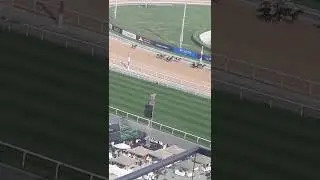 #dubai
