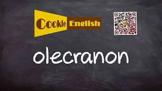 Olecranon   Pronunciation, Paraphrase, Listen & Practice