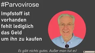Parvovirose kann für Hunde tötlich enden | Senior 4.0