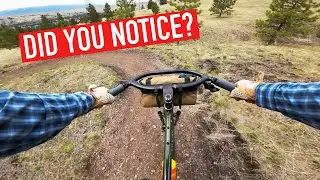 Did You Notice the Change? (DJI Osmo Action 3 vs. Gopro Hero 11)