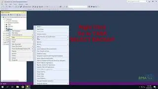 How to Back Up a Database in Microsoft SQL Server Management Studio (MSSQL) 2019 | 2016 | 2012