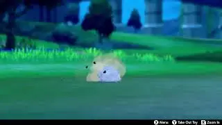 Snom running is so cute!