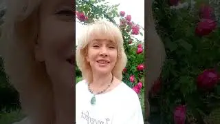 Почему я выбираю ченнелинг?