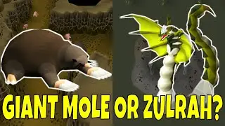 Mole vs Zulrah | The Ultimate Low Req Money Makers | OSRS Bossing