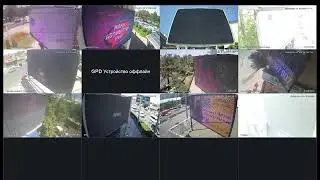 amedia отчеты