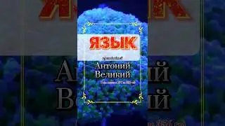 ЯЗЫК. Преподобный Антоний Великий.
