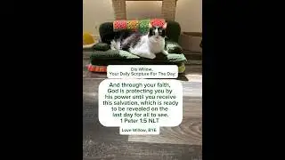There’s power in his name #3southerncatsandmomma