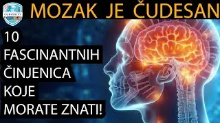 10 Najfascinantnijih Činjenica o Ljudskom Mozgu Dr#123